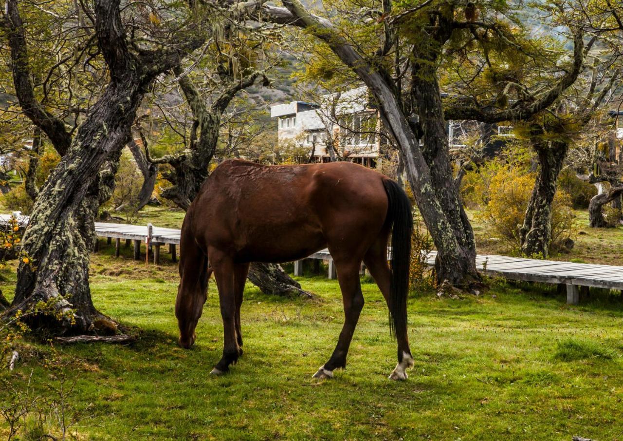 Pampa Hostel Torres del Paine National Park Buitenkant foto
